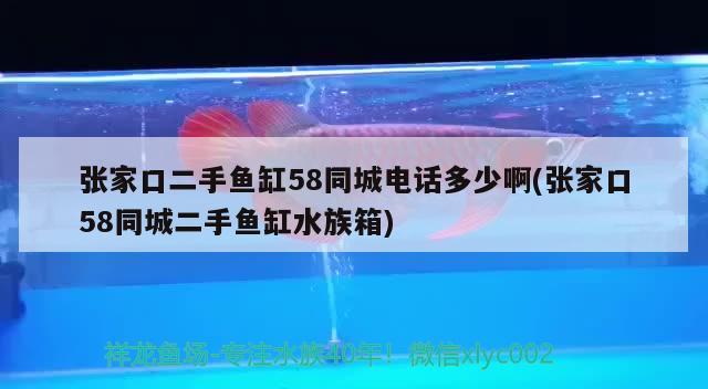 張家口二手魚缸58同城電話多少啊(張家口58同城二手魚缸水族箱)