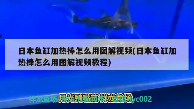 日本魚缸加熱棒怎么用圖解視頻(日本魚缸加熱棒怎么用圖解視頻教程)