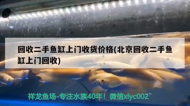 回收二手魚缸上門收貨價(jià)格(北京回收二手魚缸上門回收) 養(yǎng)魚知識(shí)