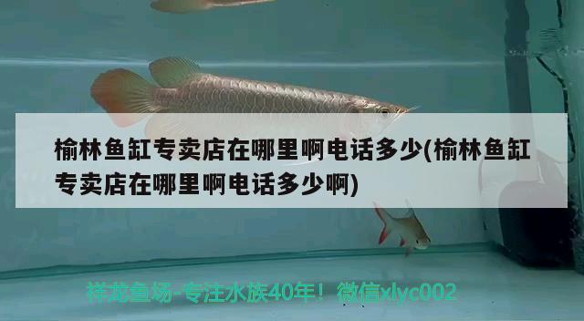 榆林魚缸專賣店在哪里啊電話多少(榆林魚缸專賣店在哪里啊電話多少啊)