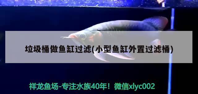 垃圾桶做魚缸過濾(小型魚缸外置過濾桶) 定時(shí)器/自控系統(tǒng)