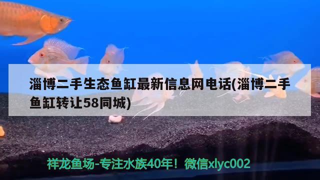 淄博二手生態(tài)魚缸最新信息網(wǎng)電話(淄博二手魚缸轉(zhuǎn)讓58同城) 其他益生菌