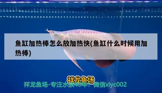 魚缸加熱棒怎么放加熱快(魚缸什么時(shí)候用加熱棒)