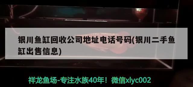 銀川魚缸回收公司地址電話號碼(銀川二手魚缸出售信息)