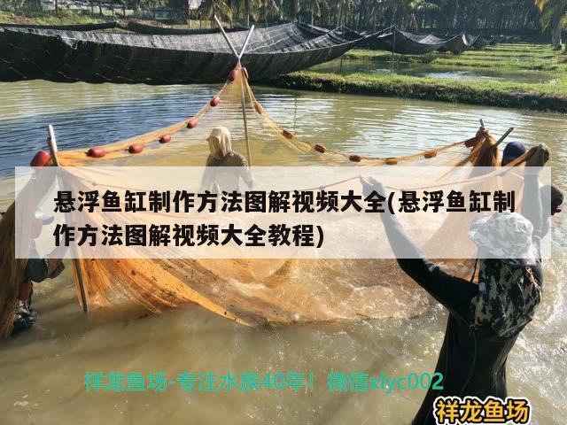 懸浮魚缸制作方法圖解視頻大全(懸浮魚缸制作方法圖解視頻大全教程)