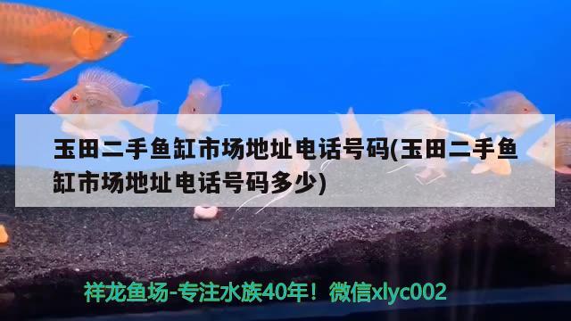 玉田二手魚缸市場地址電話號碼(玉田二手魚缸市場地址電話號碼多少)