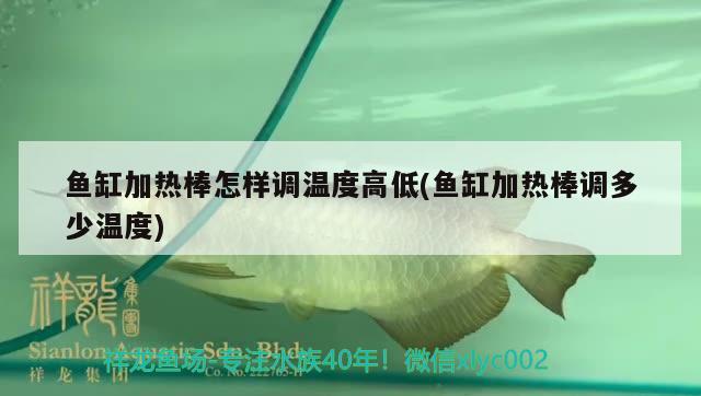 魚缸加熱棒怎樣調(diào)溫度高低(魚缸加熱棒調(diào)多少溫度)