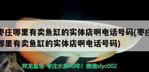 棗莊哪里有賣魚缸的實體店啊電話號碼(棗莊哪里有賣魚缸的實體店啊電話號碼) 水族雜談