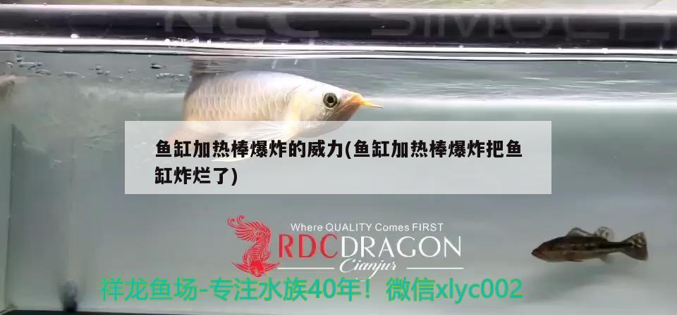 魚(yú)缸加熱棒爆炸的威力(魚(yú)缸加熱棒爆炸把魚(yú)缸炸爛了) 銀龍魚(yú)百科