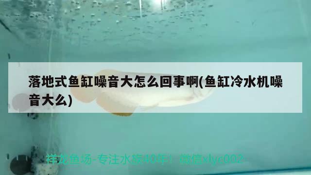 落地式魚缸噪音大怎么回事啊(魚缸冷水機(jī)噪音大么)