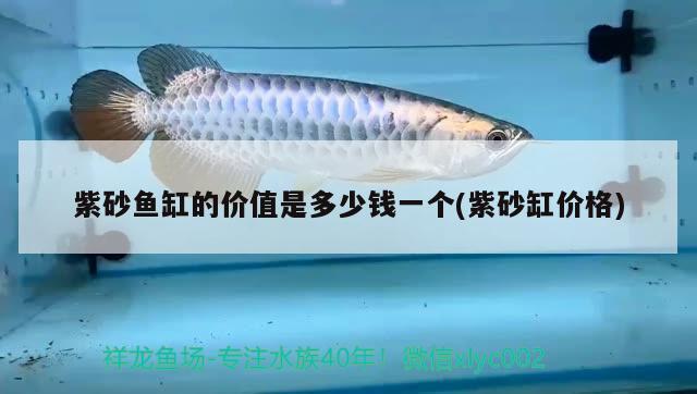 紫砂魚缸的價(jià)值是多少錢一個(gè)(紫砂缸價(jià)格)