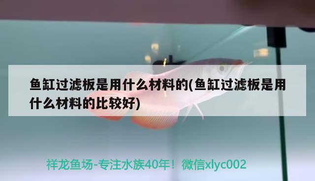 魚(yú)缸過(guò)濾板是用什么材料的(魚(yú)缸過(guò)濾板是用什么材料的比較好) 銀龍魚(yú)百科