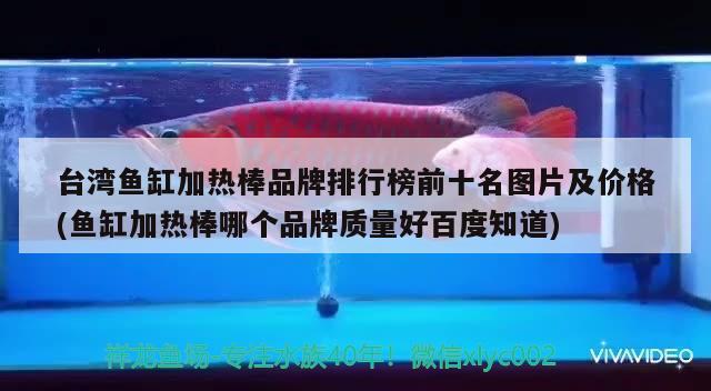 臺灣魚缸加熱棒品牌排行榜前十名圖片及價格(魚缸加熱棒哪個品牌質(zhì)量好百度知道)