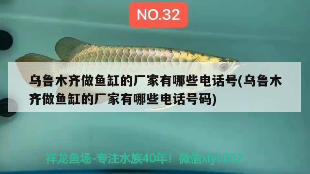 烏魯木齊做魚(yú)缸的廠家有哪些電話號(hào)(烏魯木齊做魚(yú)缸的廠家有哪些電話號(hào)碼) 豹紋夫魚(yú)苗