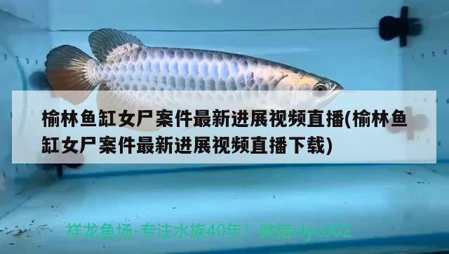 榆林魚缸女尸案件最新進展視頻直播(榆林魚缸女尸案件最新進展視頻直播下載)