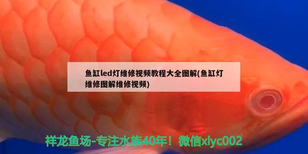 魚缸led燈維修視頻教程大全圖解(魚缸燈維修圖解維修視頻)