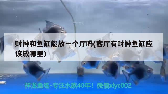 財神和魚缸能放一個廳嗎(客廳有財神魚缸應(yīng)該放哪里)