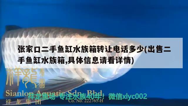 張家口二手魚缸水族箱轉(zhuǎn)讓電話多少(出售二手魚缸水族箱,具體信息請(qǐng)看詳情)