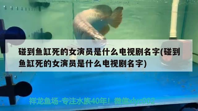 碰到魚缸死的女演員是什么電視劇名字(碰到魚缸死的女演員是什么電視劇名字)