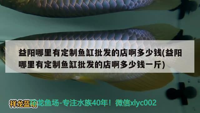 益陽哪里有定制魚缸批發(fā)的店啊多少錢(益陽哪里有定制魚缸批發(fā)的店啊多少錢一斤) 巨骨舌魚 第2張