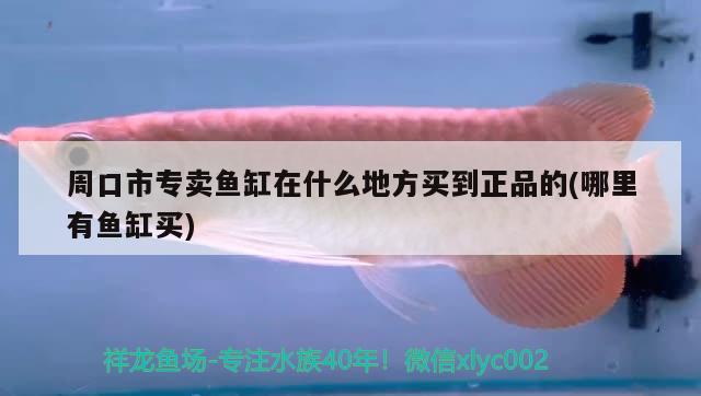 周口市專賣魚缸在什么地方買到正品的(哪里有魚缸買) 巴西亞魚