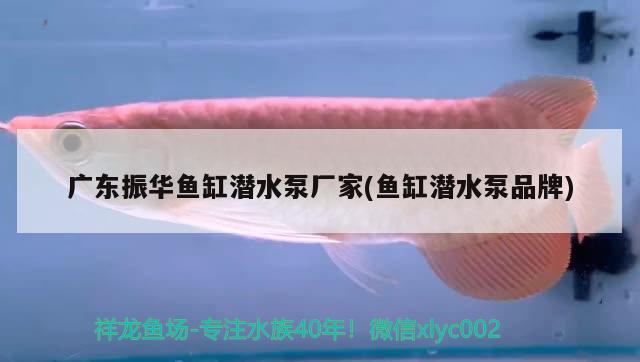 廣東振華魚缸潛水泵廠家(魚缸潛水泵品牌)