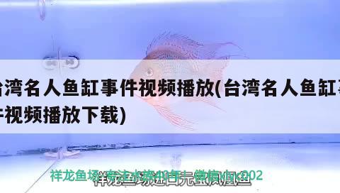 臺灣名人魚缸事件視頻播放(臺灣名人魚缸事件視頻播放下載)