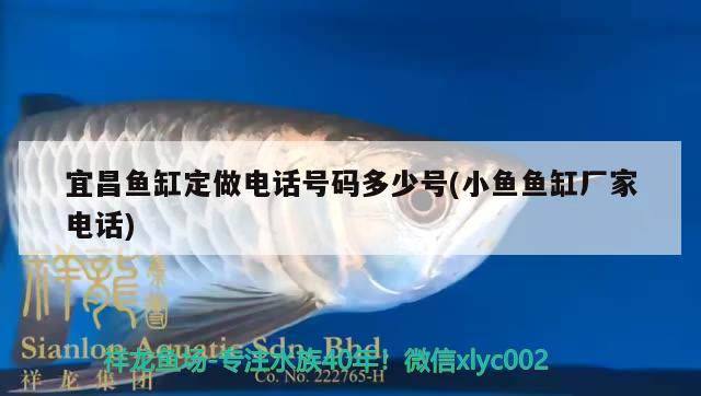 宜昌魚缸定做電話號(hào)碼多少號(hào)(小魚魚缸廠家電話) 白子銀版魚苗