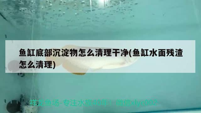 魚(yú)缸底部沉淀物怎么清理干凈(魚(yú)缸水面殘?jiān)趺辞謇? 熱帶魚(yú)魚(yú)苗批發(fā)