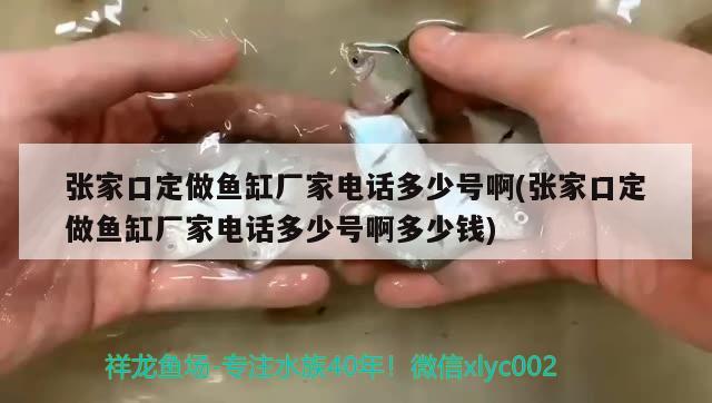 張家口定做魚缸廠家電話多少號(hào)啊(張家口定做魚缸廠家電話多少號(hào)啊多少錢)