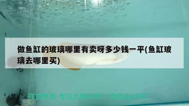 做魚缸的玻璃哪里有賣呀多少錢一平(魚缸玻璃去哪里買) 綠皮辣椒小紅龍