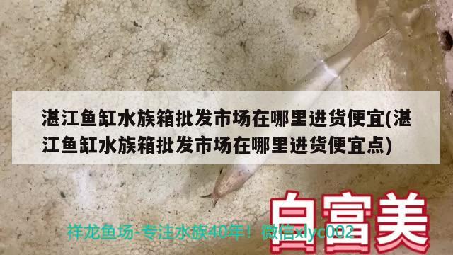 湛江魚缸水族箱批發(fā)市場在哪里進(jìn)貨便宜(湛江魚缸水族箱批發(fā)市場在哪里進(jìn)貨便宜點(diǎn))