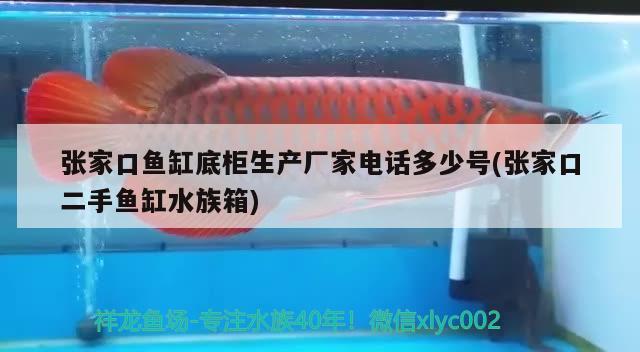 張家口魚(yú)缸底柜生產(chǎn)廠家電話多少號(hào)(張家口二手魚(yú)缸水族箱) 魚(yú)缸/水族箱