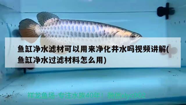 魚缸凈水濾材可以用來凈化井水嗎視頻講解(魚缸凈水過濾材料怎么用) 水族用品