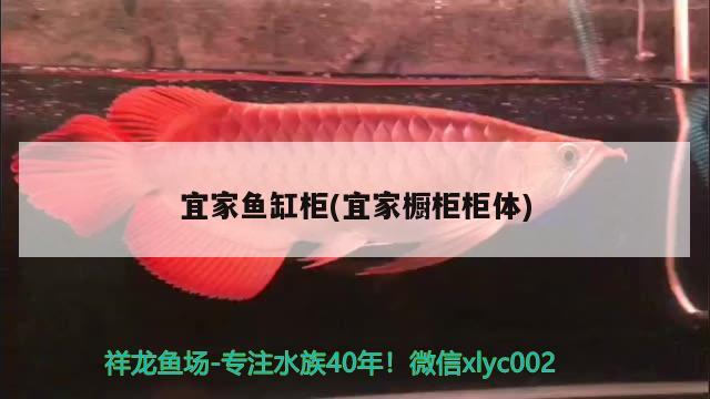 宜家魚缸柜(宜家櫥柜柜體)