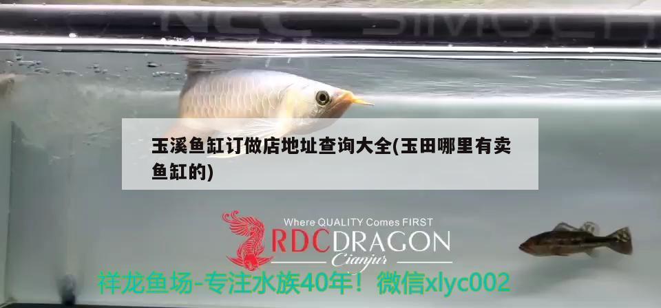 玉溪魚缸訂做店地址查詢大全(玉田哪里有賣魚缸的) PH調(diào)節(jié)劑