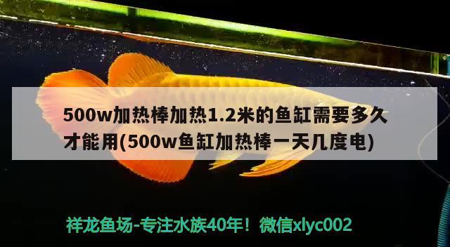 500w加熱棒加熱1.2米的魚缸需要多久才能用(500w魚缸加熱棒一天幾度電)