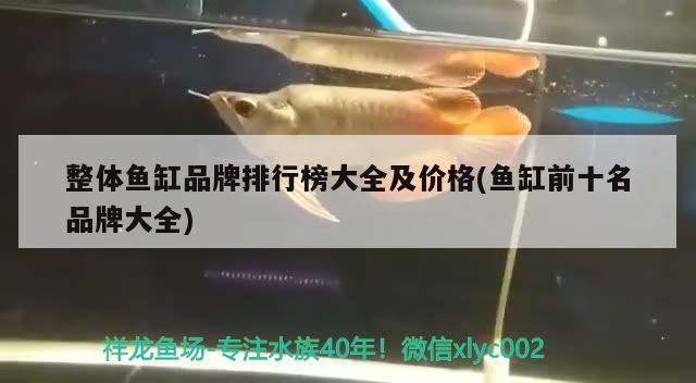 整體魚缸品牌排行榜大全及價(jià)格(魚缸前十名品牌大全)