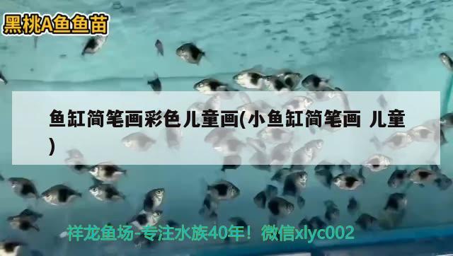 魚缸簡筆畫彩色兒童畫(小魚缸簡筆畫兒童) 胭脂孔雀龍魚