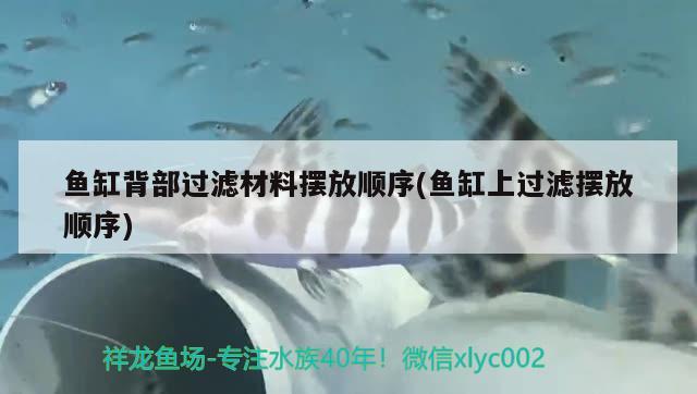 魚缸背部過濾材料擺放順序(魚缸上過濾擺放順序) 水族雜談