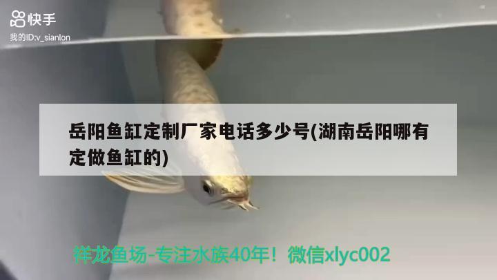 岳陽魚缸定制廠家電話多少號(湖南岳陽哪有定做魚缸的) 印尼小紅龍