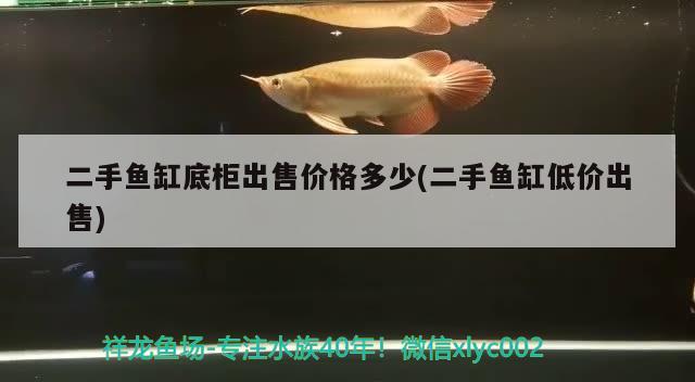 二手魚缸底柜出售價格多少(二手魚缸低價出售)