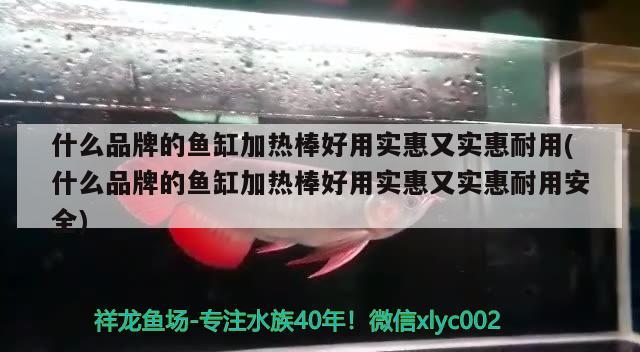 什么品牌的魚缸加熱棒好用實惠又實惠耐用(什么品牌的魚缸加熱棒好用實惠又實惠耐用安全) 硝化細菌