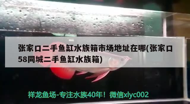 張家口二手魚缸水族箱市場地址在哪(張家口58同城二手魚缸水族箱) 魚缸/水族箱