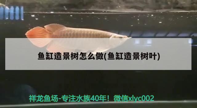 魚缸造景樹怎么做(魚缸造景樹葉) 紅勾銀版魚