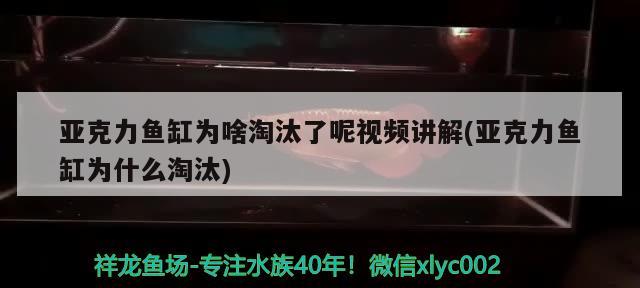 亞克力魚缸為啥淘汰了呢視頻講解(亞克力魚缸為什么淘汰)