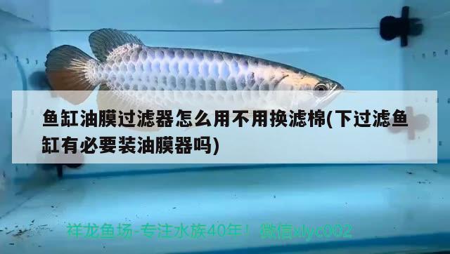 魚缸油膜過濾器怎么用不用換濾棉(下過濾魚缸有必要裝油膜器嗎)