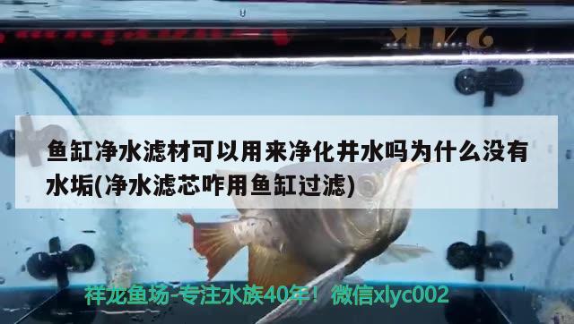 魚缸凈水濾材可以用來凈化井水嗎為什么沒有水垢(凈水濾芯咋用魚缸過濾)