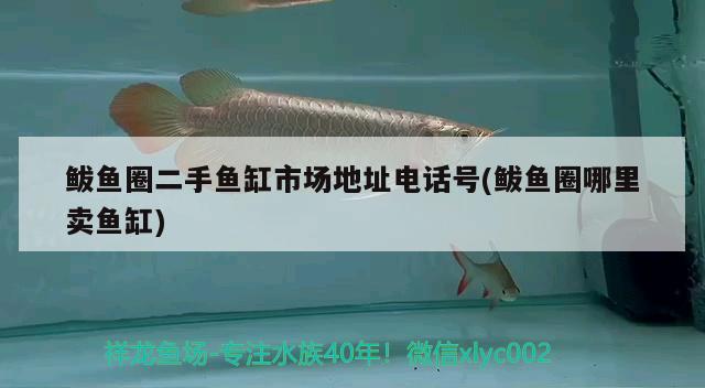 鲅魚圈二手魚缸市場地址電話號(鲅魚圈哪里賣魚缸)