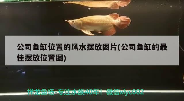 公司魚缸位置的風(fēng)水?dāng)[放圖片(公司魚缸的最佳擺放位置圖) 魚缸風(fēng)水